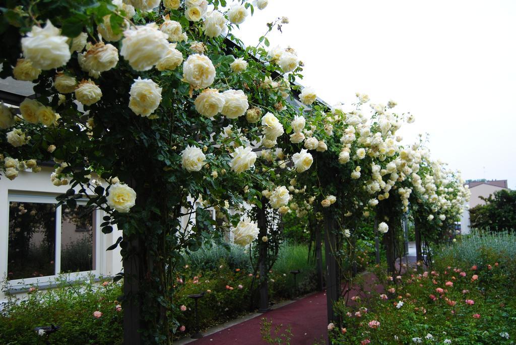 Relais Villa Roncuzzi Русси Экстерьер фото